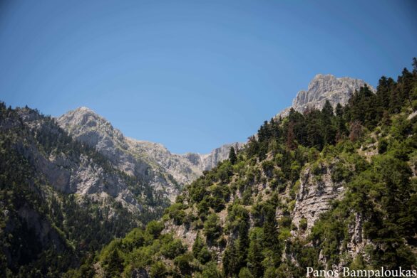 Θέα προς αλπικό ανάμεσα από Καλόγηρο και Λιάκουρα