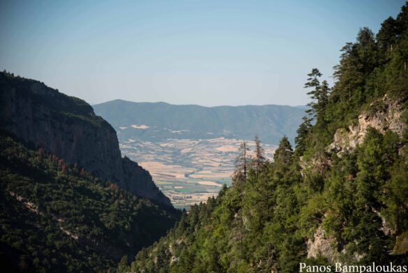 Θέα στον κάμπο της Τιθορέας