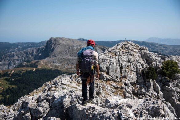 Κορυφογραμμή