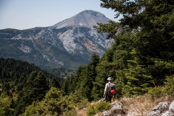 Μονοπάτι dirfys trail