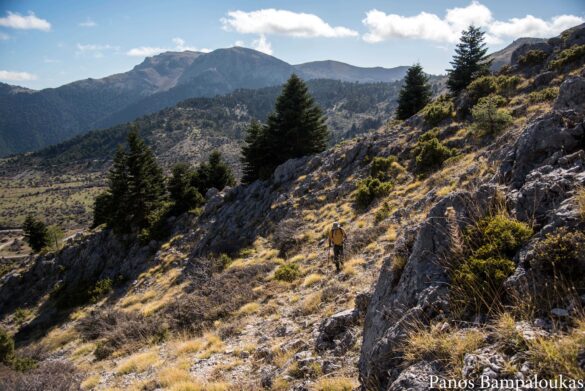 Ακολουθούμε τις στράτες των ζώων