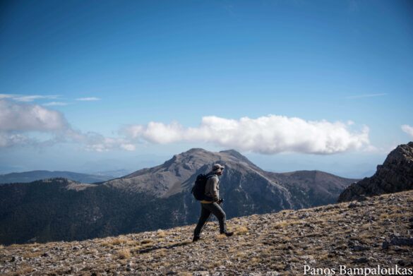 Κορυφογραμμή