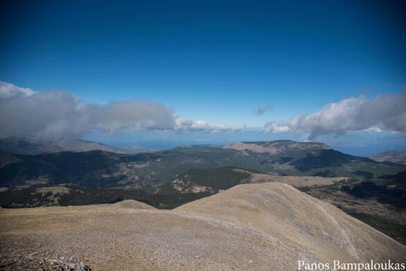 Κορυφογραμμή