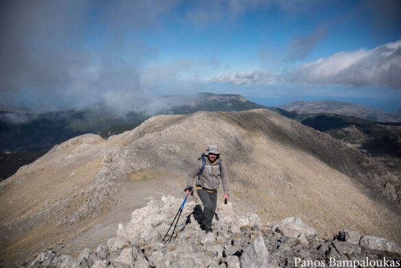 Κορυφογραμμή
