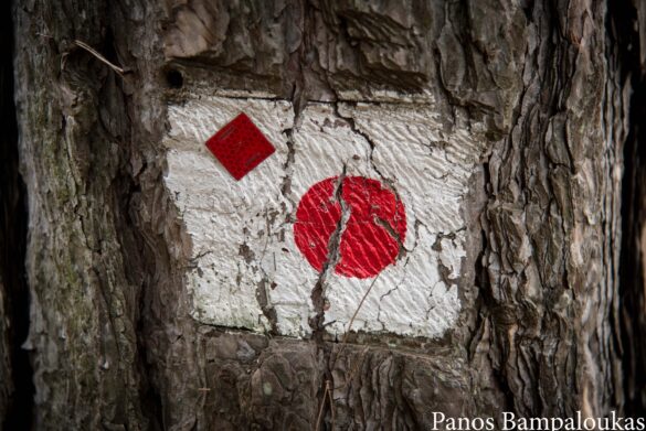Σήμανση μονοπατιού