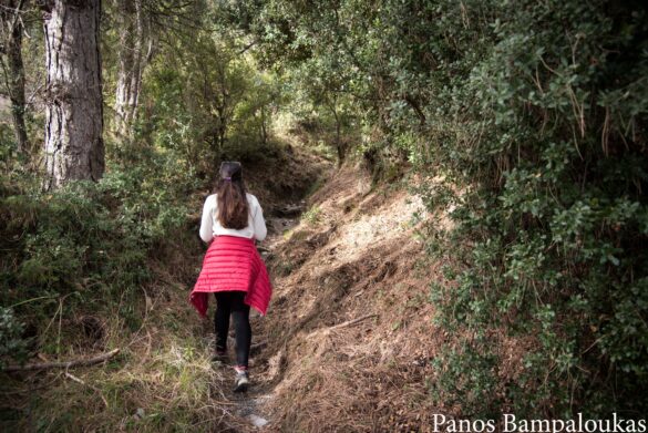 Αρχή διαδρομής