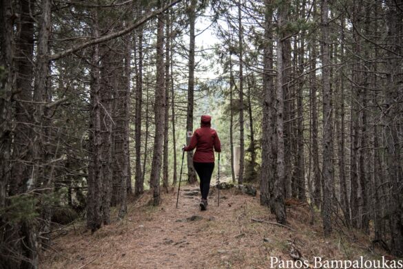 Φτάνοντας στο τριγωνομετρικό