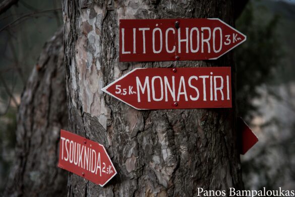 Επιλογές πορείας