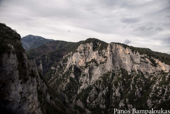 Θέα στη χαράδρα του Ενιπέα