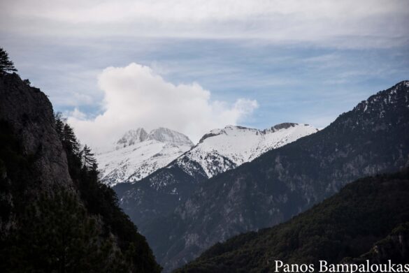Ο Μύτικας και το Στεφάνι