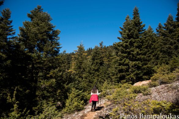 Αρχή διαδρομής