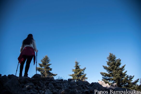 Φτάνοντας στην κορυφή Πυργάκια