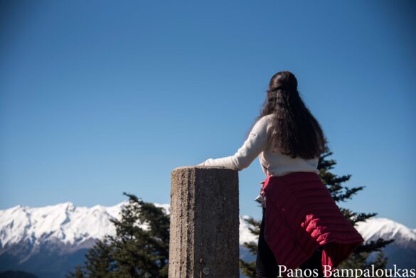 Θέα προς Βαρδούσια