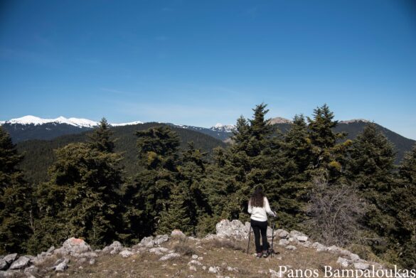 Στο βάθος οι ψηλές κορυφές της Οίτης