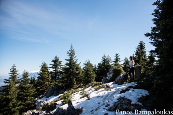 Στο δεύτερο τριγωνομετρικό Μακρυράχης