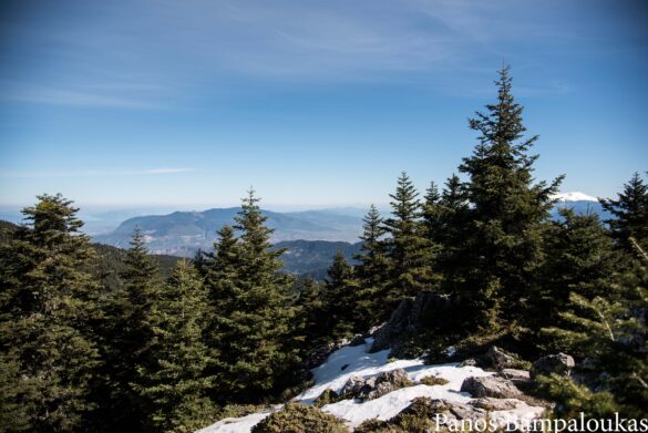 Θέα από το δεύτερο τριγωνομετρικό
