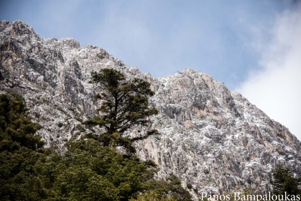 Επιβλητικοί γκρεμοί