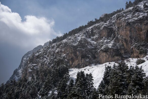 Όμορφο τοπίο