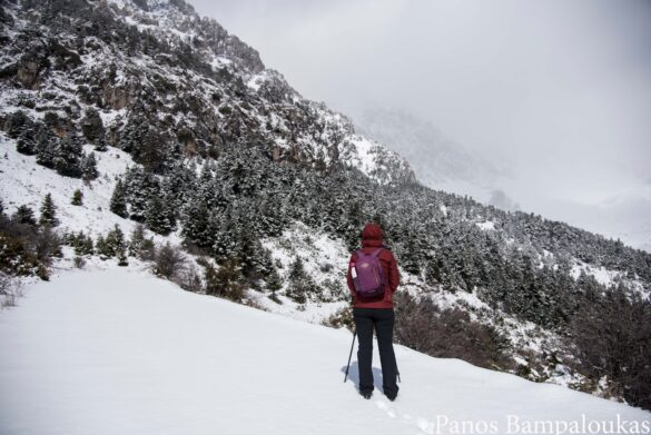 Χιονόπτωση στο βάθος