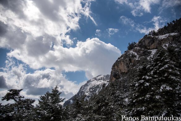 Όμορφο τοπίο