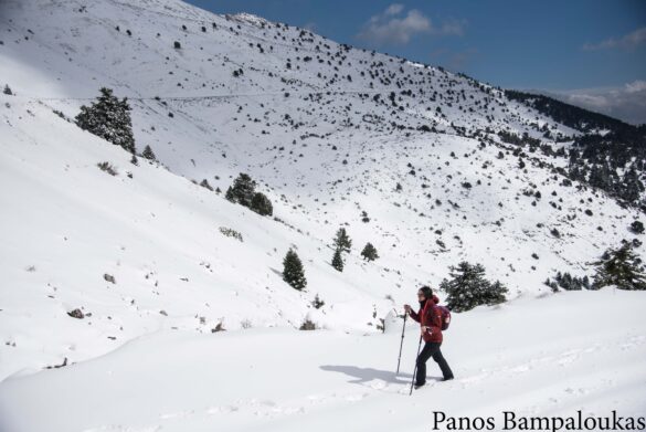 Αλπικό τοπίο δίπλα στην πηγή