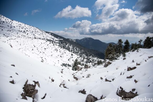 Θέα από το μικρό ρέμα