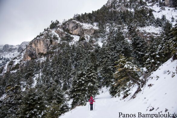Επιστρέφοντας
