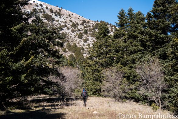 Πλάτωμα από όπου βλέπουμε το αλπικό