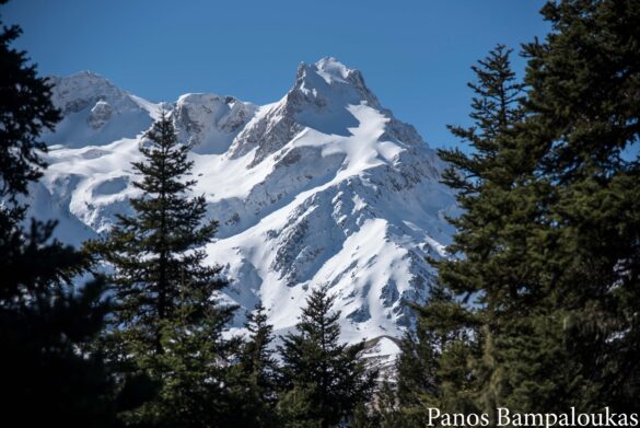 Κορυφή του Γκιώνη το Πλάι και Κοπρισιές