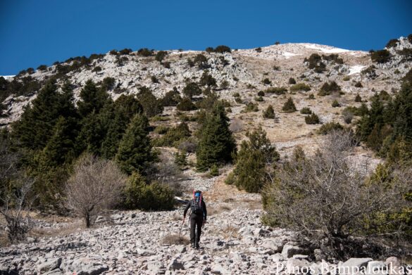 Προς το αλπικό