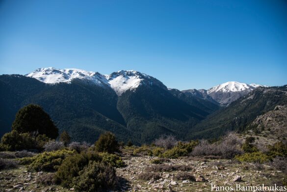 Μικρή Ζήρεια και κορυφή Παράγκα δεξιά