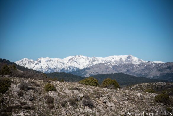 Αροάνια Όρη