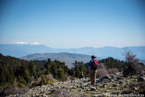 Ο Παρνασσός στο βάθος