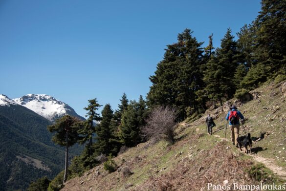 Μπαίνοντας στο μονοπάτι που οδηγεί στην κοιλάδα