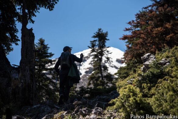 Βγαίνοντας από την κοιλάδα