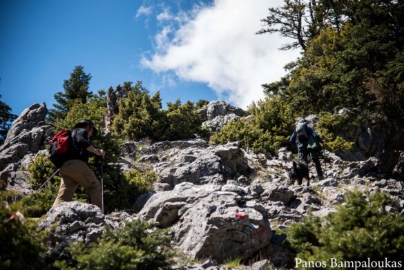 Απότομο σημείο