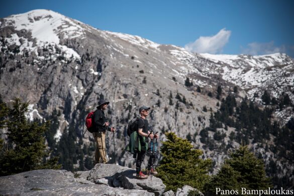 Πίσω η Μικρή Ζήρεια