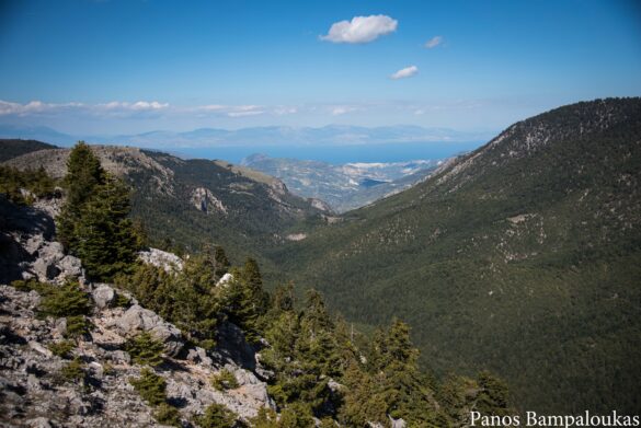 Η κοιλάδα Φλαμπουρίτσας
