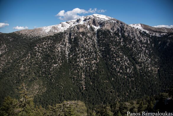 Μικρή Ζήρεια