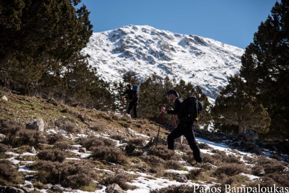 Σημείο που κόβουμε τον δασικό δρόμο