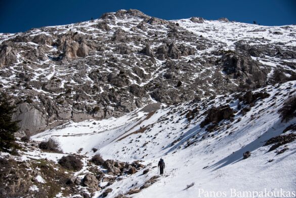 Εδώ τελειώνει ο δασικός δρόμος