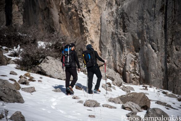 Βράχια δίπλα στο ρέμα