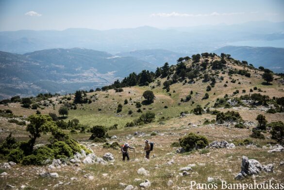 Φτάνοντας στο αλπικό